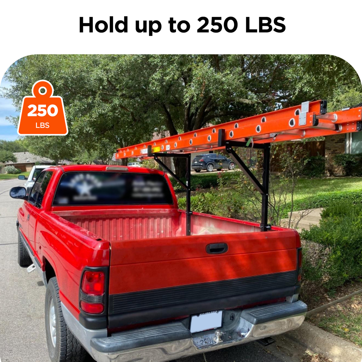 Hold up to 250 LBS